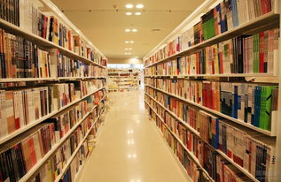 银发岁月，代码相伴——在马鞍山的晚年技术人生畅想